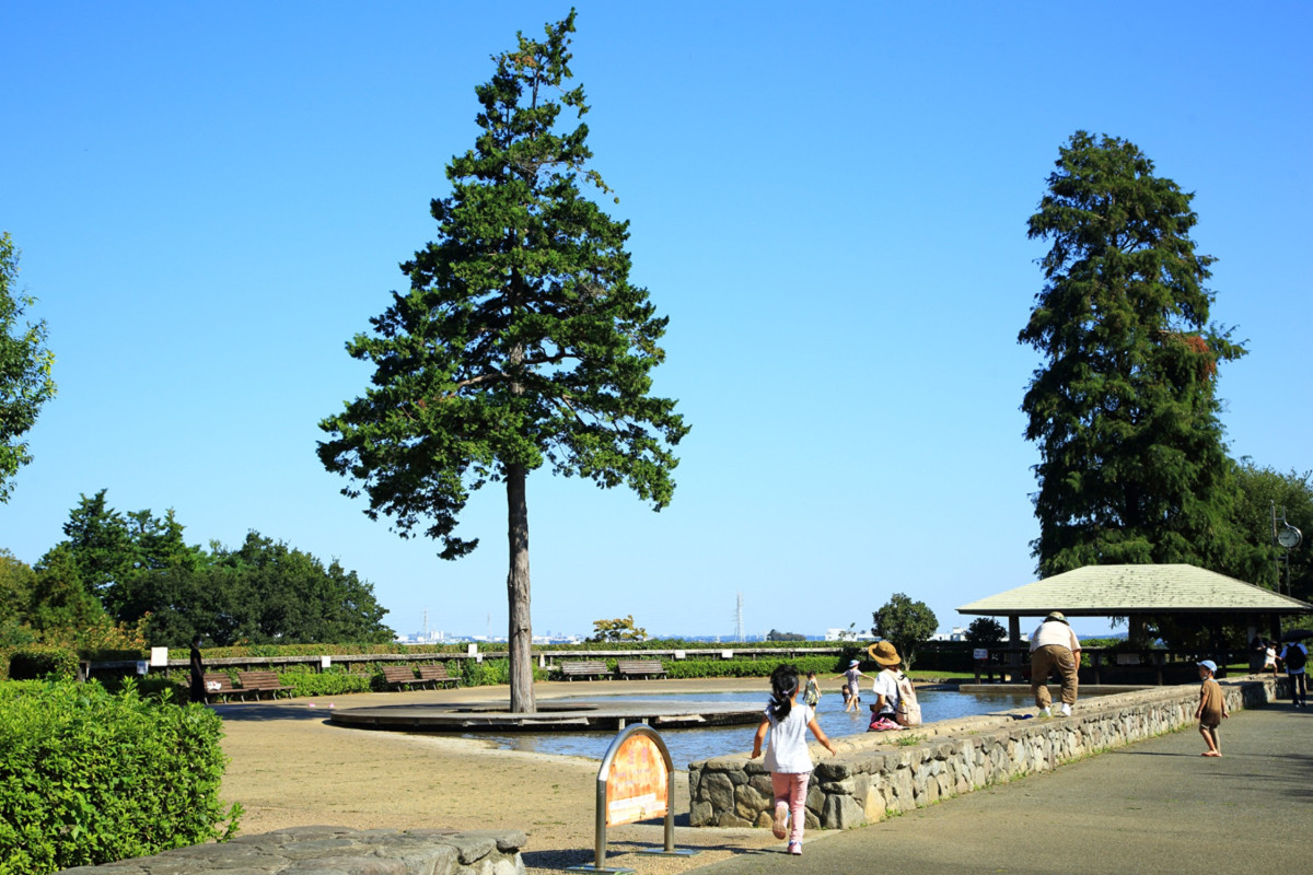 ぼう さい の 丘 公園